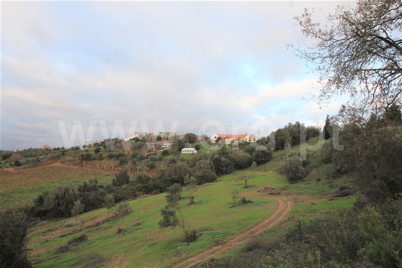 Terreno  Torres Novas, Brogueira, Parceiros de Igreja e Alcorochel - 1296138 - 5