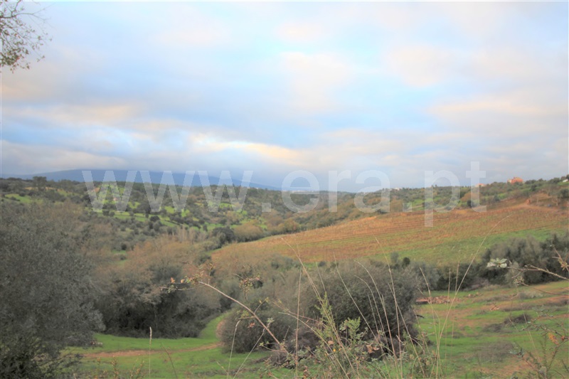 Terreno  Torres Novas, Brogueira, Parceiros de Igreja e Alcorochel - 1296138 - 7