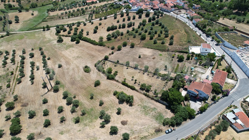 Terreno para Construção / Torres Novas, Brogueira, Parceiros de Igreja e Alcorochel