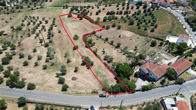 Terreno para Construção  Torres Novas, Brogueira, Parceiros de Igreja e Alcorochel - 1420553 - 2