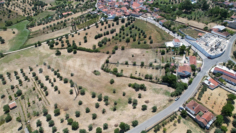 Terreno para Construção  Torres Novas, Brogueira, Parceiros de Igreja e Alcorochel - 1420553 - 3