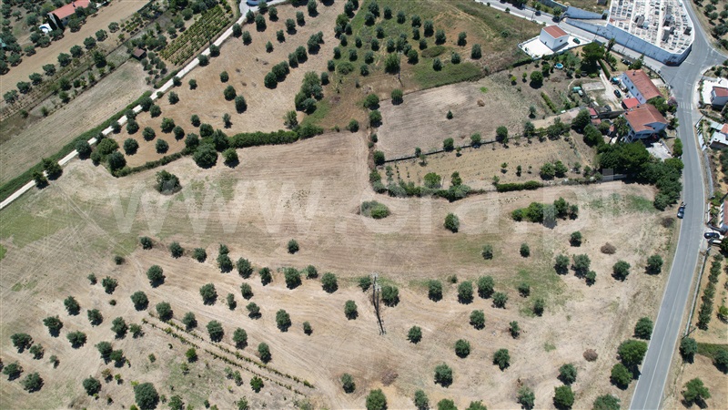 Terreno para Construção  Torres Novas, Brogueira, Parceiros de Igreja e Alcorochel - 1420553 - 4