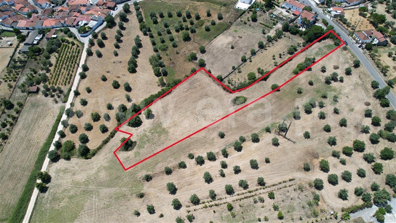 Terreno para Construção  Torres Novas, Brogueira, Parceiros de Igreja e Alcorochel - 1420553 - 5