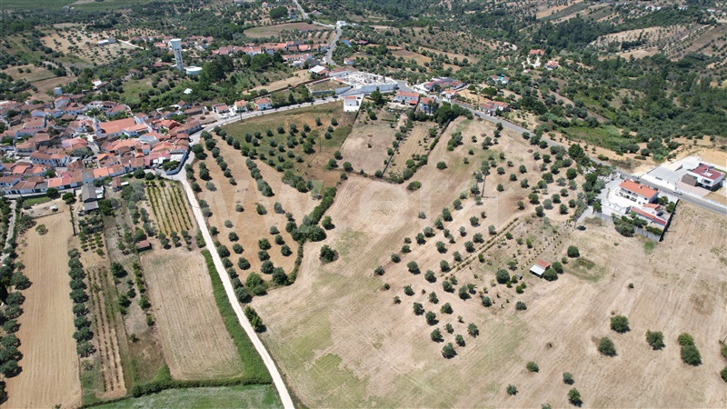 Terreno para Construção  Torres Novas, Brogueira, Parceiros de Igreja e Alcorochel - 1420553 - 6