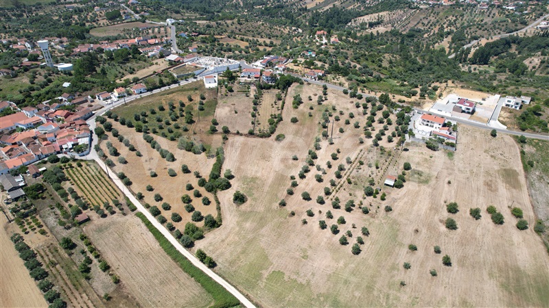 Terreno para Construção  Torres Novas, Brogueira, Parceiros de Igreja e Alcorochel - 1420553 - 7