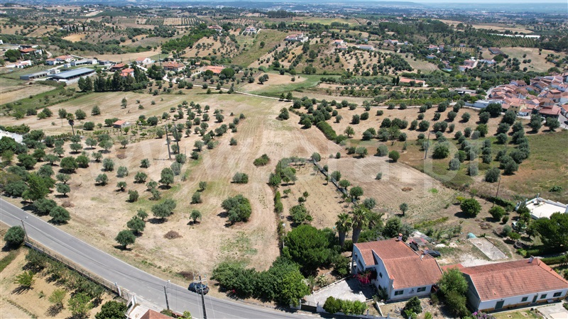 Terreno para Construção  Torres Novas, Brogueira, Parceiros de Igreja e Alcorochel - 1420553 - 8