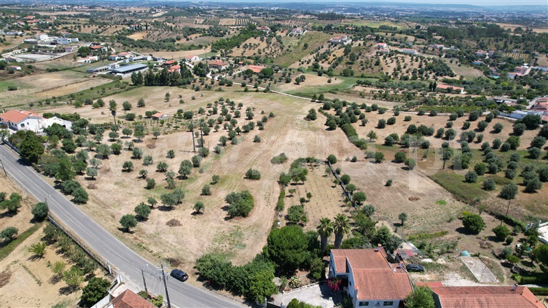 Terreno para Construção  Torres Novas, Brogueira, Parceiros de Igreja e Alcorochel - 1420553 - 10