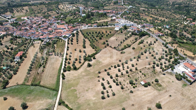 Terreno para Construção  Torres Novas, Brogueira, Parceiros de Igreja e Alcorochel - 1420553 - 11