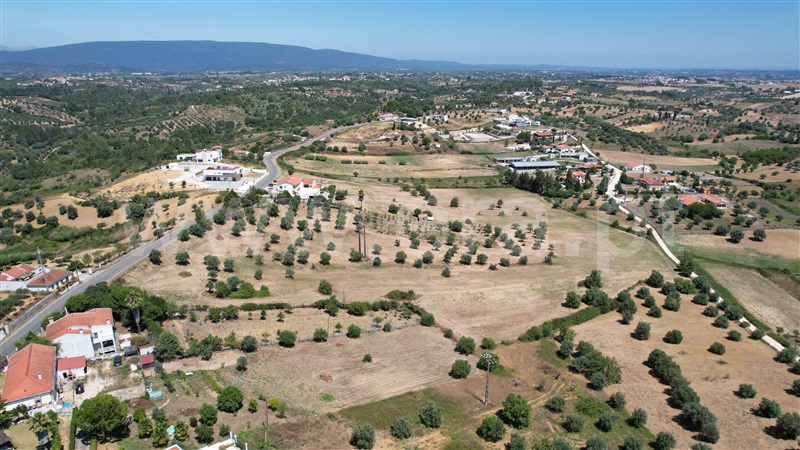 Terreno para Construção  Torres Novas, Brogueira, Parceiros de Igreja e Alcorochel - 1420553 - 15