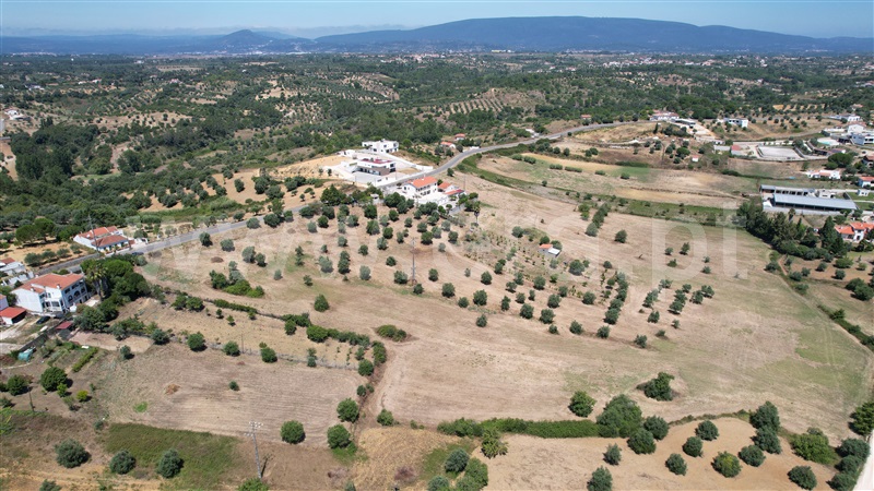 Terreno para Construção  Torres Novas, Brogueira, Parceiros de Igreja e Alcorochel - 1420553 - 16