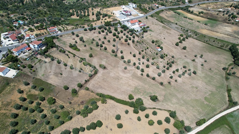 Terreno para Construção  Torres Novas, Brogueira, Parceiros de Igreja e Alcorochel - 1420553 - 17
