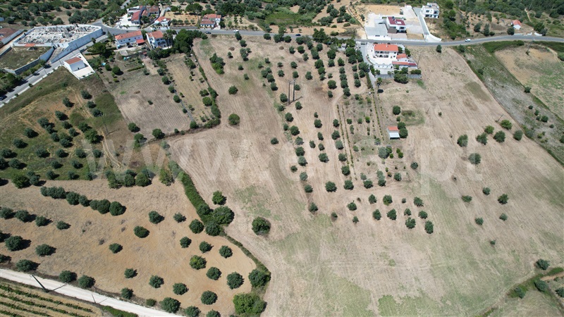 Terreno para Construção  Torres Novas, Brogueira, Parceiros de Igreja e Alcorochel - 1420553 - 18