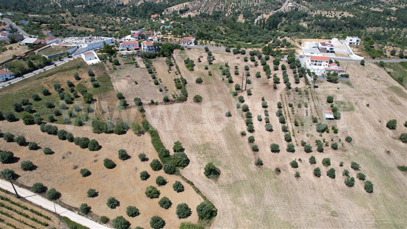 Terreno para Construção  Torres Novas, Brogueira, Parceiros de Igreja e Alcorochel - 1420553 - 19
