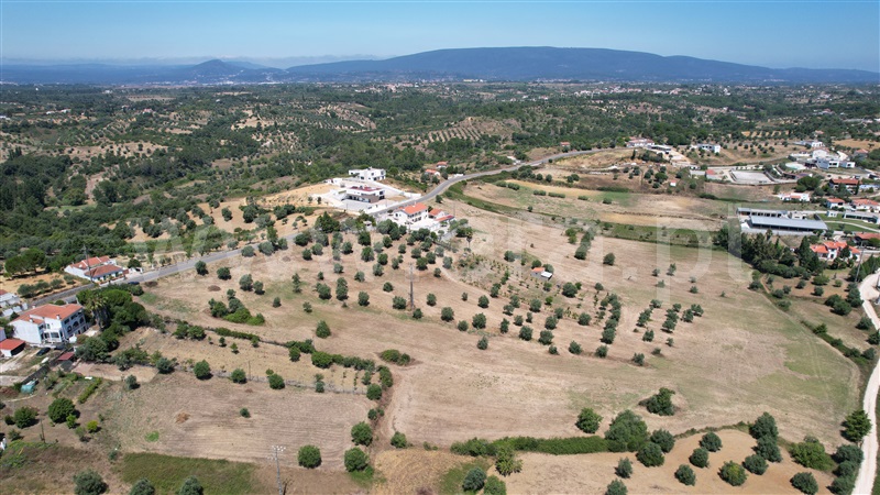 Terreno para Construção  Torres Novas, Brogueira, Parceiros de Igreja e Alcorochel - 1420553 - 20