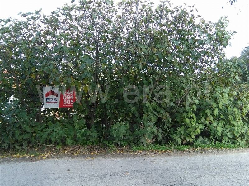 Terreno para Construção / Torres Novas, Olaia e Paço