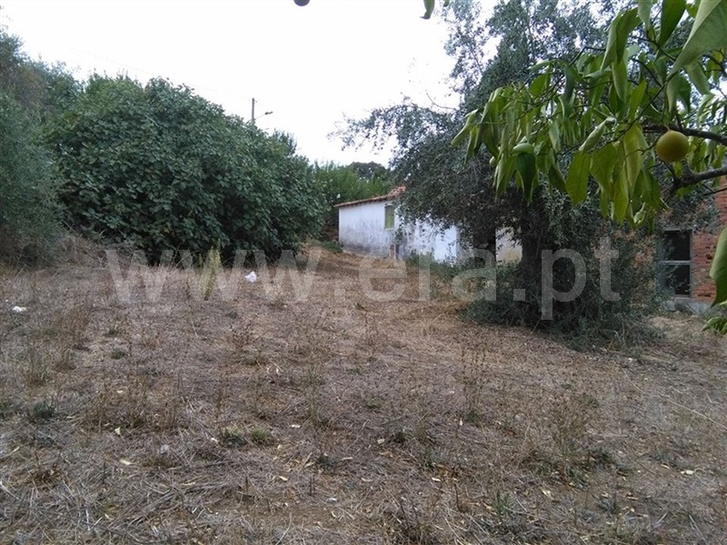 Terreno para Construção  Torres Novas, Olaia e Paço - 870713 - 2
