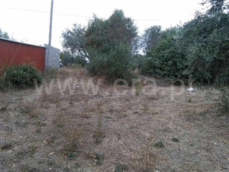 Terreno para Construção  Torres Novas, Olaia e Paço - 870713 - 3