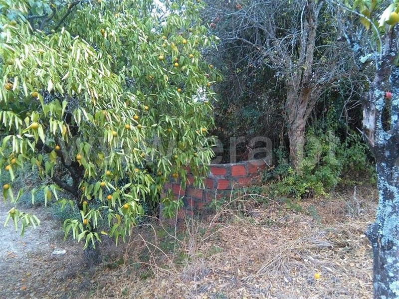 Terreno para Construção  Torres Novas, Olaia e Paço - 870713 - 4