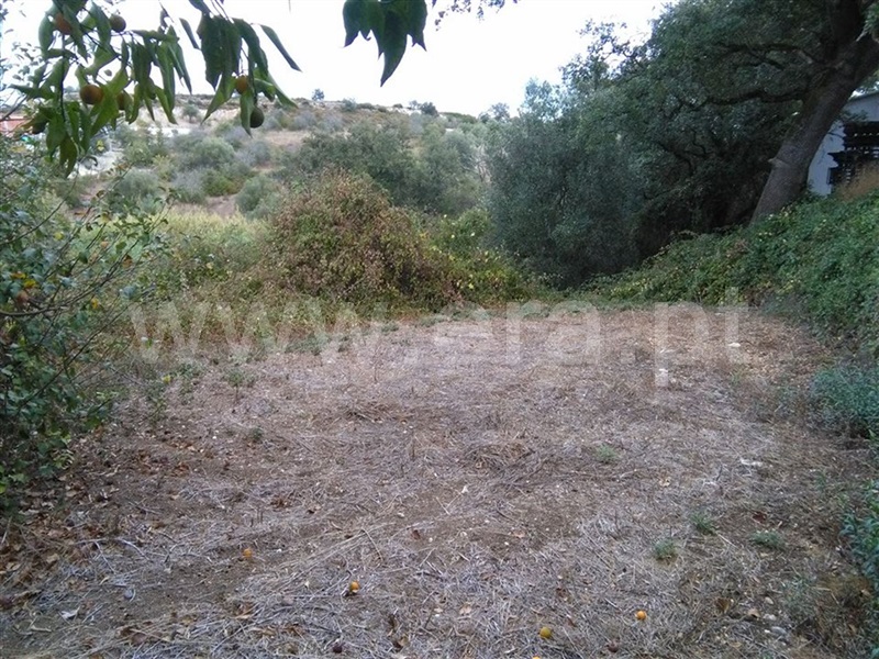 Terreno para Construção  Torres Novas, Olaia e Paço - 870713 - 5