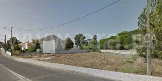 Terreno para Construção / Torres Novas, Riachos