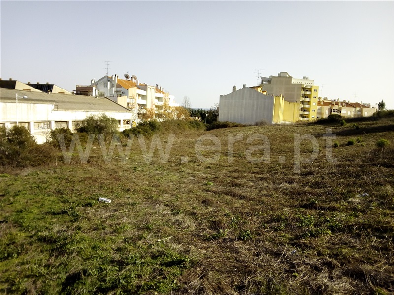 Terreno para Construção / Torres Novas, TNV - Várzea