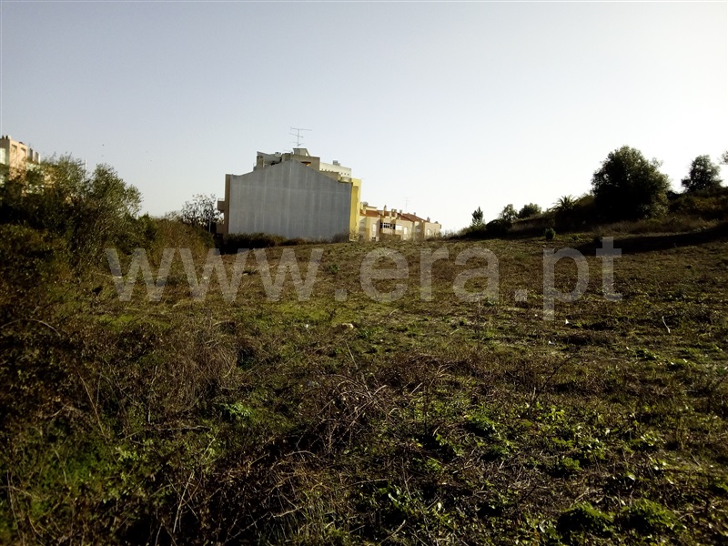 Terreno para Construção  Torres Novas, TNV - Várzea - 879558 - 3