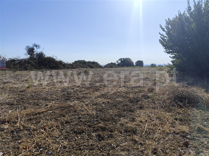 Terreno para Construção  Torres Novas, TNV - Zona Industrial - 1511961 - 7