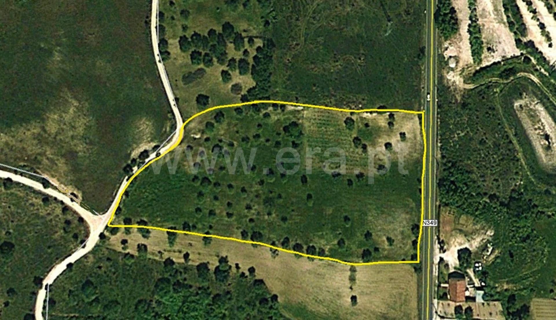 Land for sale in Torres Novas, Portugal — €67,000