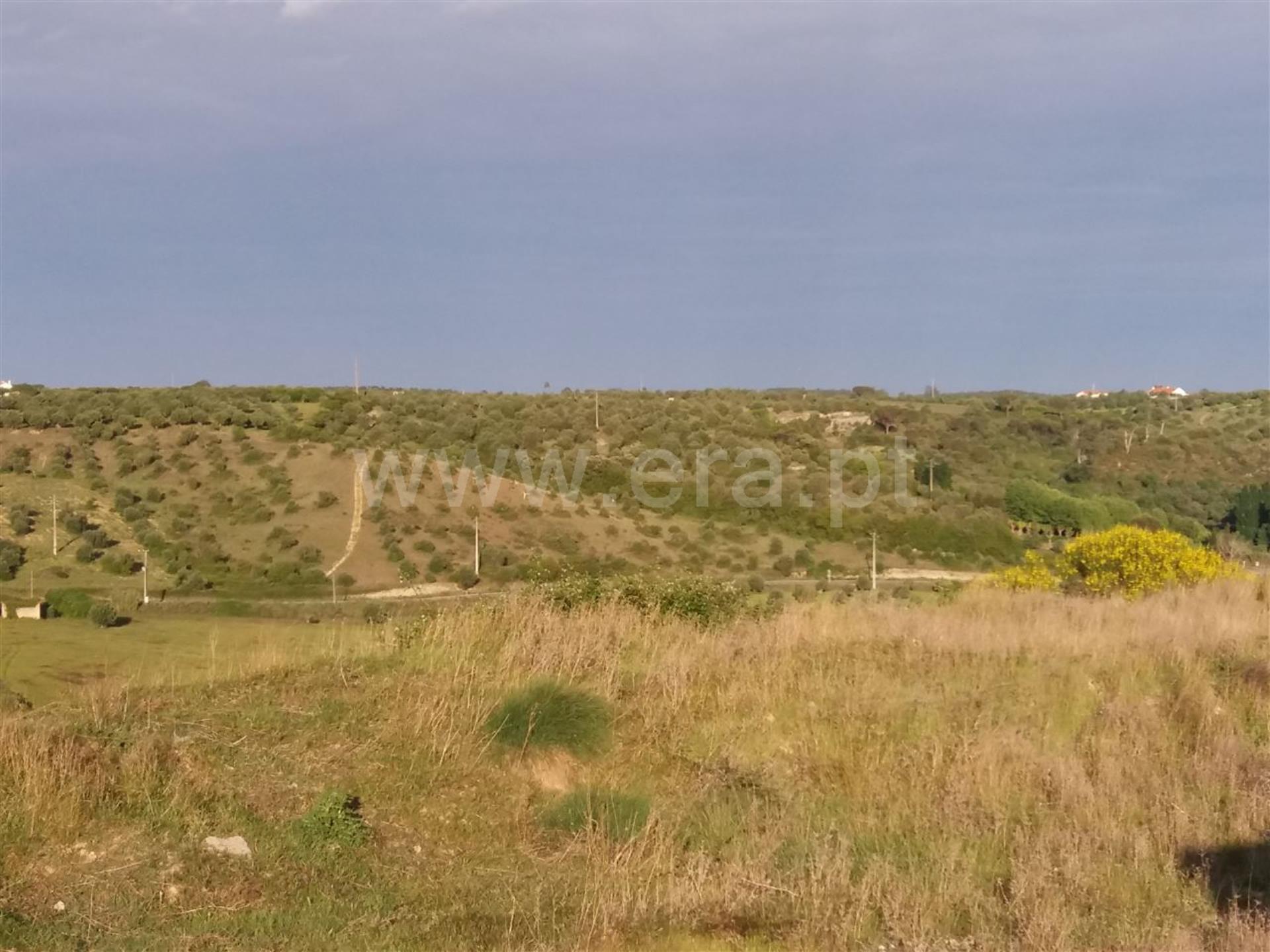 Land for sale in Torres Novas, Portugal — €86,000