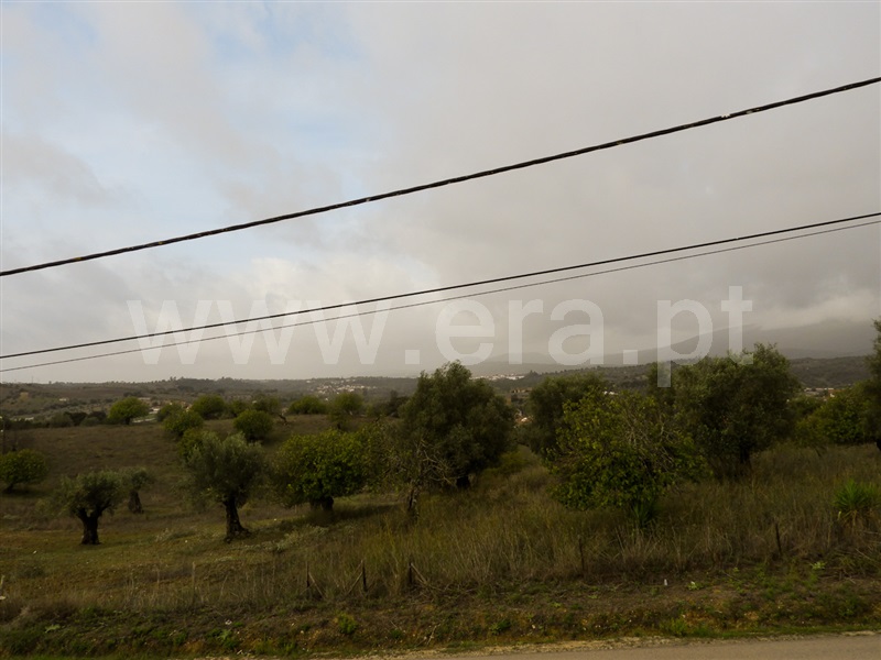 Moradia em Banda T4 Torres Novas, Torres Novas - 1364240 - 10