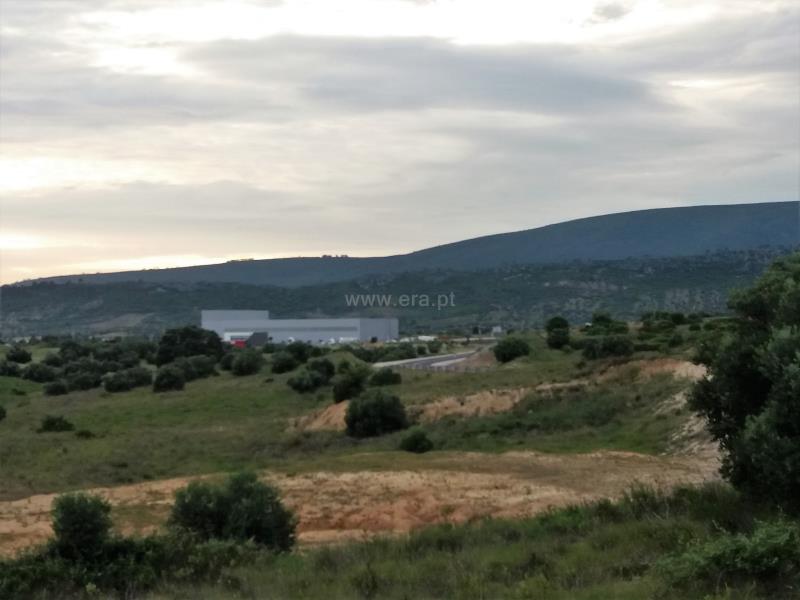 Terreno para Construção  Torres Novas, Zibreira - 832974 - 3