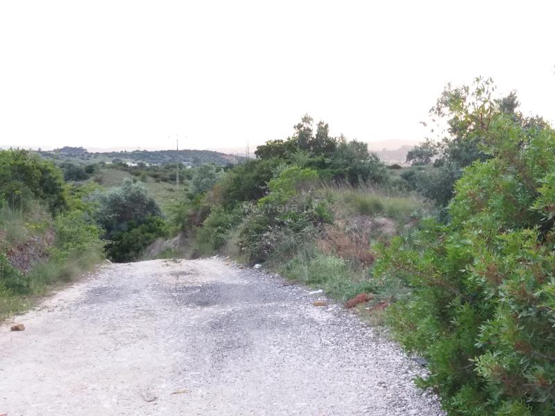 Terreno para Construção  Torres Novas, Zibreira - 832974 - 4