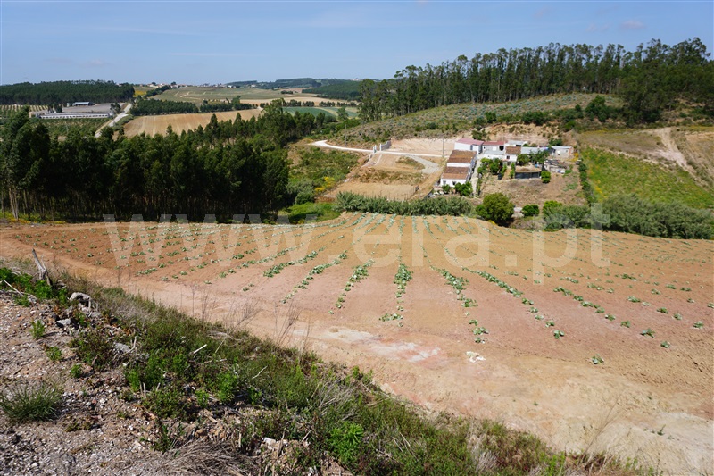 Terreno  Torres Vedras, Campelos e Outeiro da Cabeça - 1327838 - 4