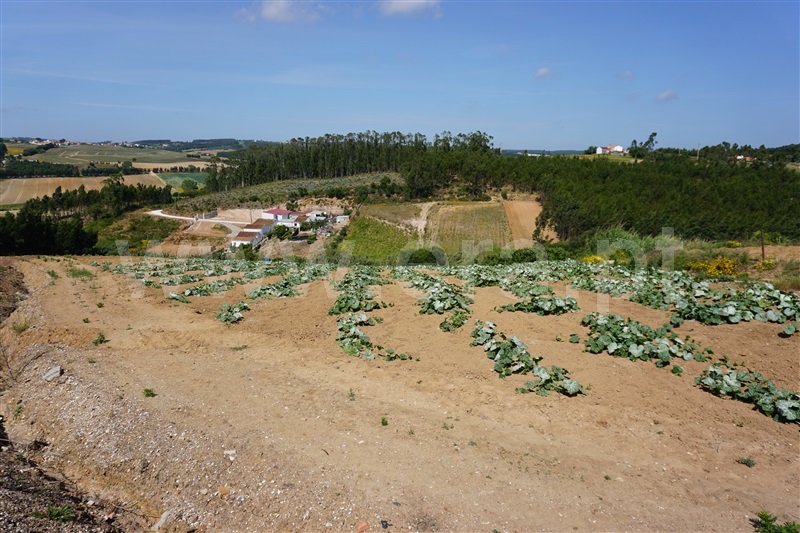 Terreno  Torres Vedras, Campelos e Outeiro da Cabeça - 1327838 - 7