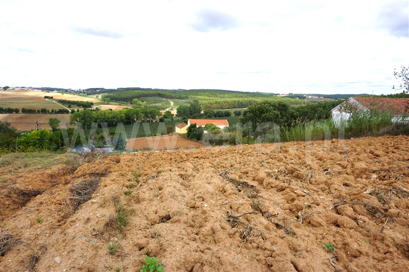 Terreno  Torres Vedras, Campelos e Outeiro da Cabeça - 1356154 - 5