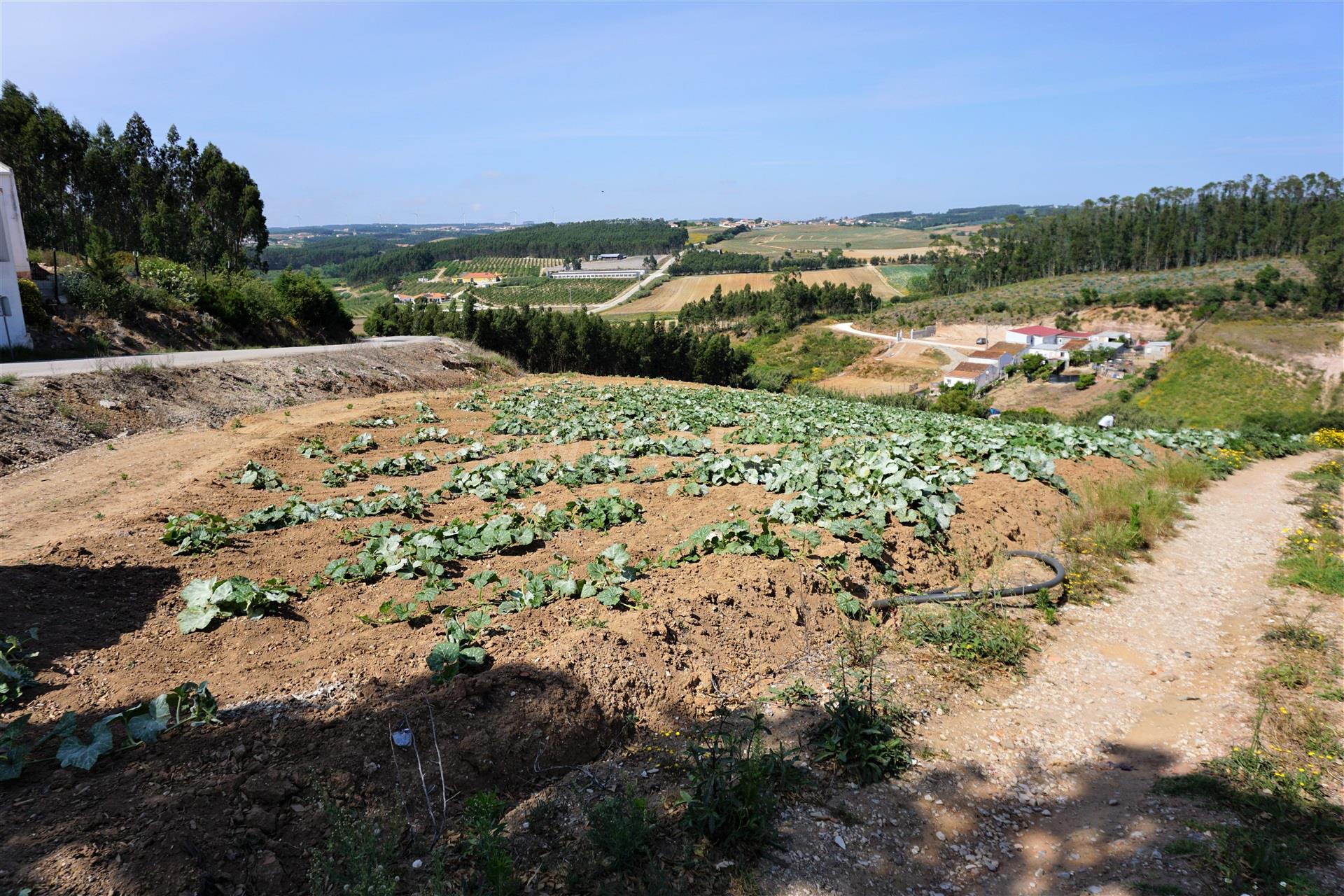Land for sale in Torres Vedras, Portugal — €65,000