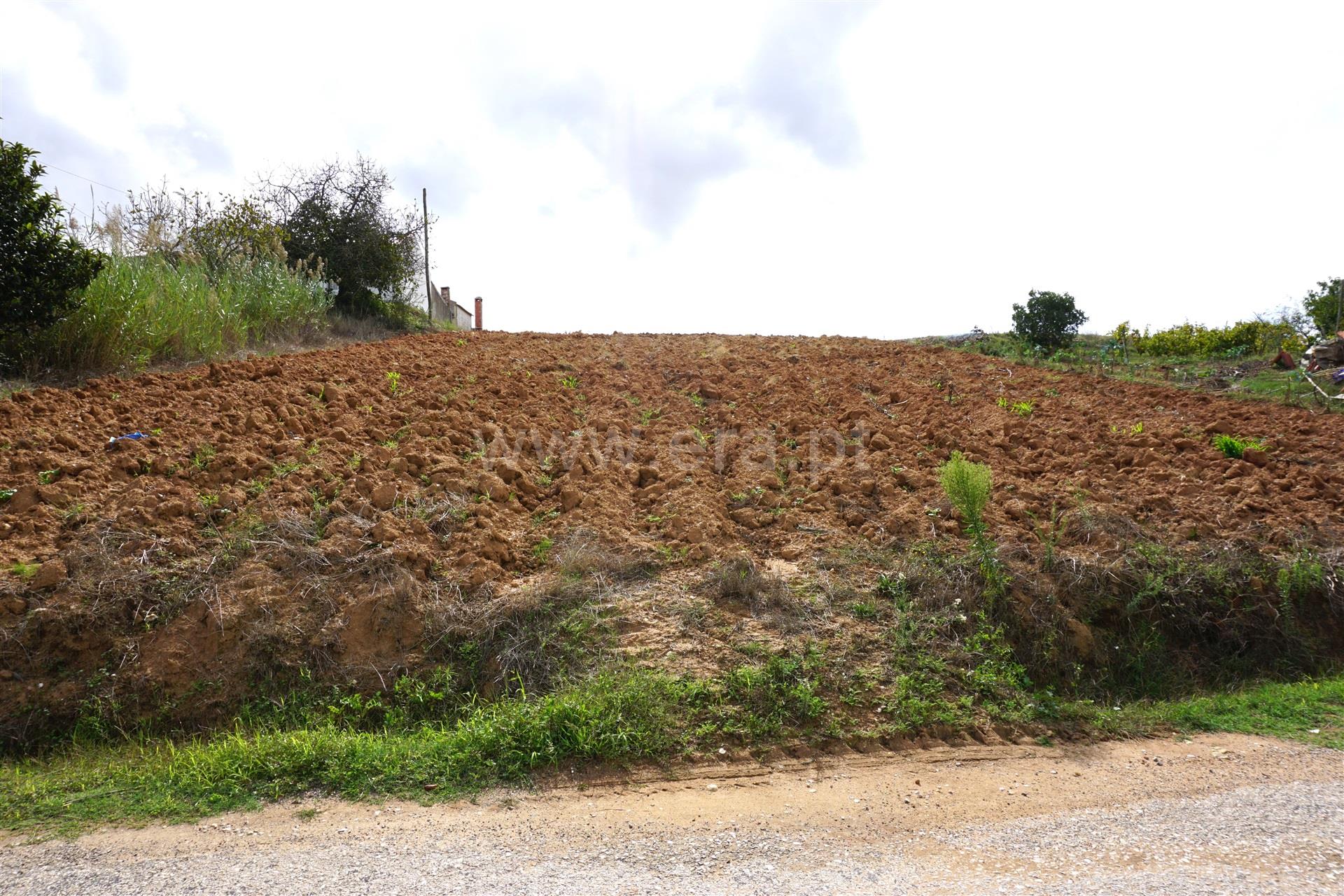 Land for sale in Torres Vedras, Portugal — €60,000