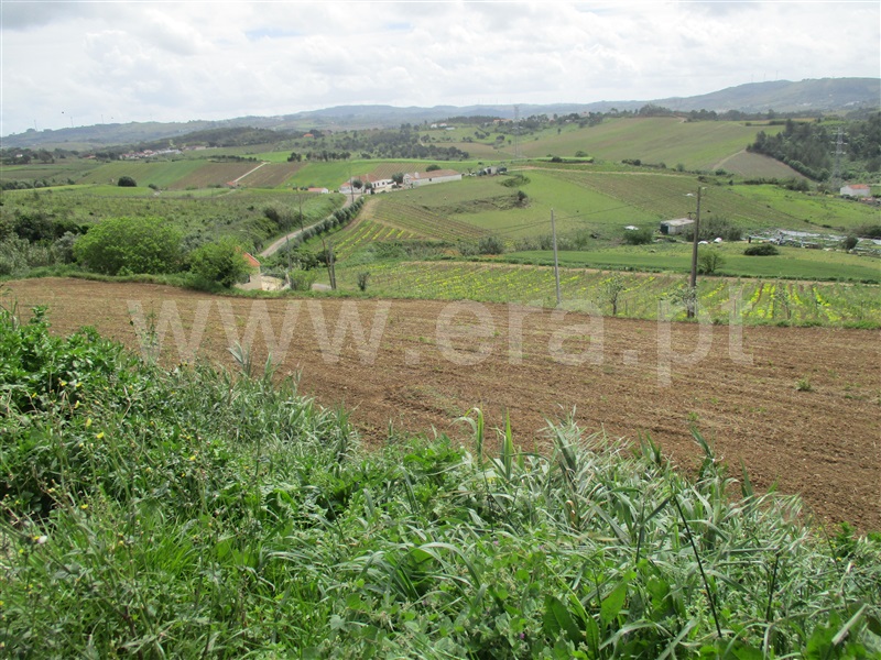 Terreno para Construção / Torres Vedras, Carvoeira e Carmões