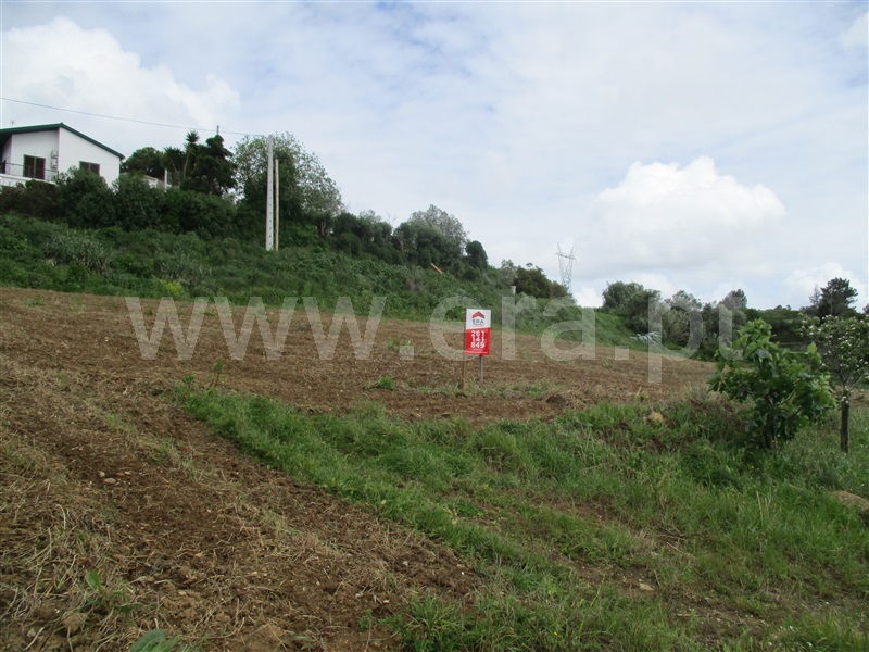 Terreno para Construção  Torres Vedras, Carvoeira e Carmões - 1366576 - 5