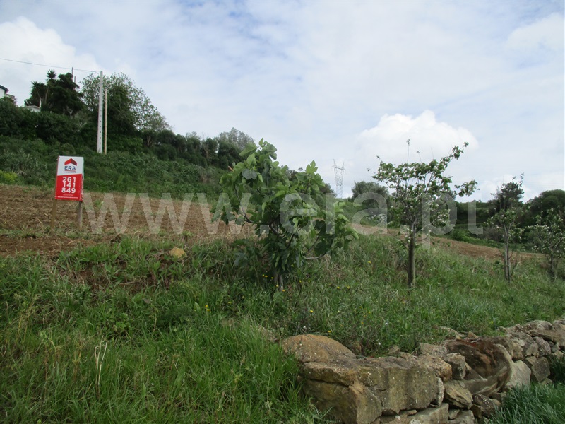 Terreno para Construção  Torres Vedras, Carvoeira e Carmões - 1366576 - 6