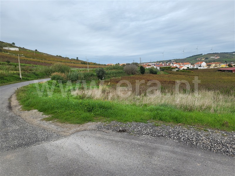 Terreno para Construção  Torres Vedras, Freiria - 1286945 - 4