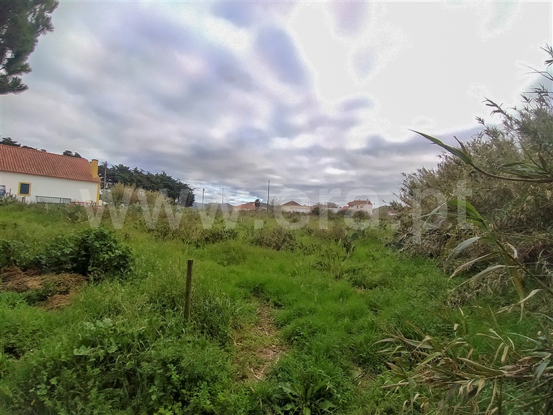Terreno  Torres Vedras, Freiria - 1300481 - 5