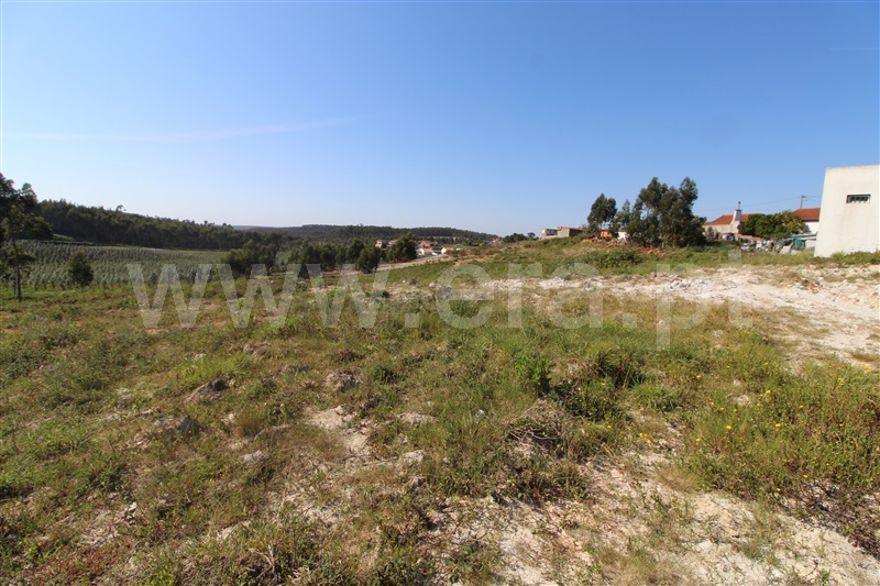 Terreno para Construção  Torres Vedras, Ramalhal - 1240350 - 3