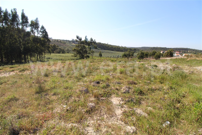 Terreno para Construção  Torres Vedras, Ramalhal - 1240350 - 4