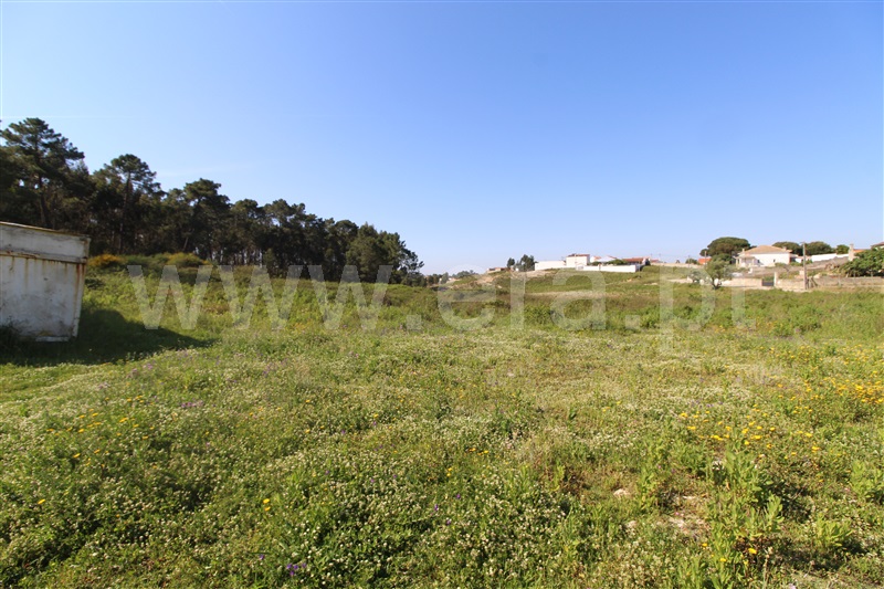 Terreno para Construção  Torres Vedras, Ramalhal - 1240350 - 5