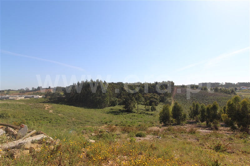 Terreno para Construção  Torres Vedras, Ramalhal - 1240350 - 7