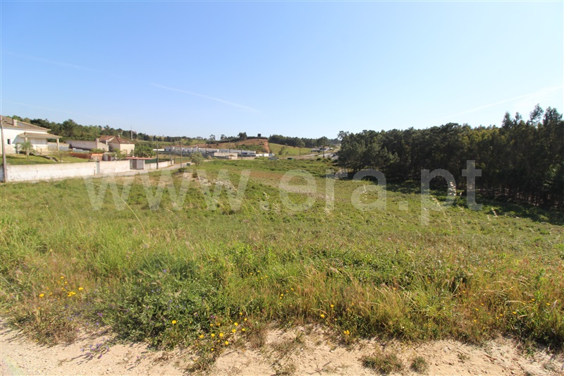 Terreno para Construção  Torres Vedras, Ramalhal - 1240350 - 8