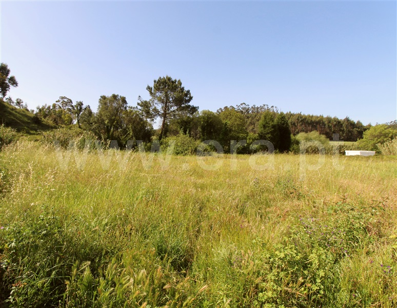 Terreno Misto  Torres Vedras, Ramalhal - 1243182 - 4