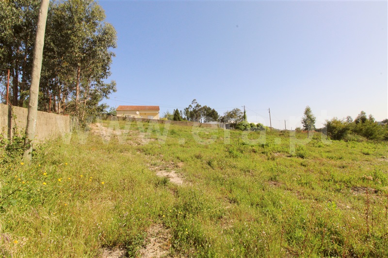Terreno para Construção  Torres Vedras, Ramalhal - 1243187 - 2
