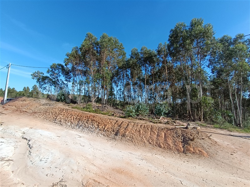 Lote Industrial  com Aprovado Torres Vedras, Santa Maria, São Pedro e Matacães - 1345917 - 9